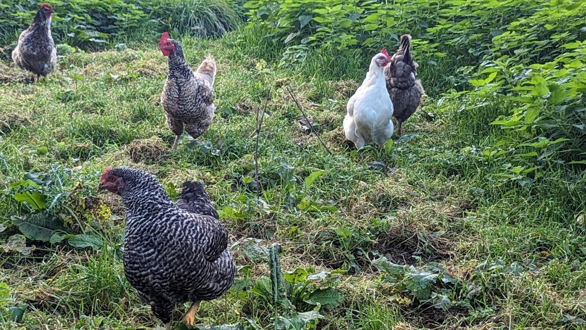 Gite Chez Loupi Épaignes Dış mekan fotoğraf